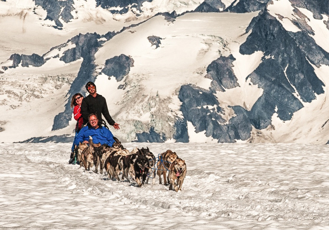 alaska dog sled tour